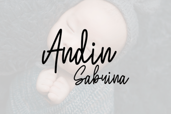 Andin Sabrina: A Sophisticated Script Typeface for Modern Web Design