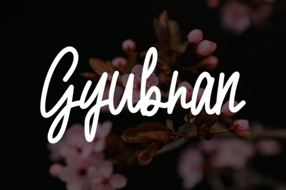 Gyubran: A Script Amp Typeface for Editorial Design
