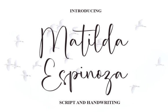 Matilda Espinoza: A Script Amp Typeface for Elegant Craft Projects