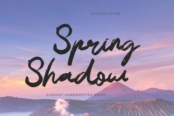 Spring Shadow Typeface Review: Editorial Elegance for Modern Content